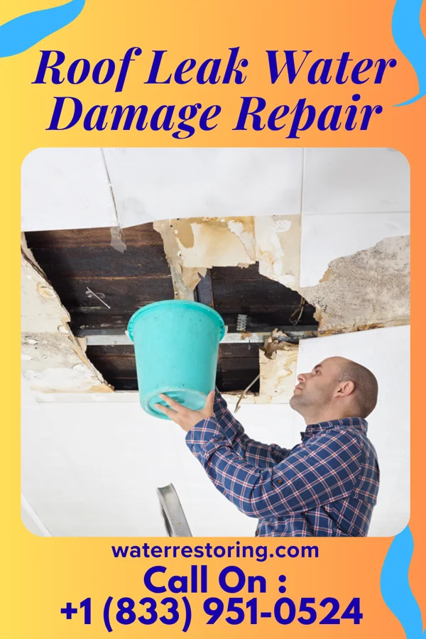 Roof Leak Water Damage Repair in Omaha, AR